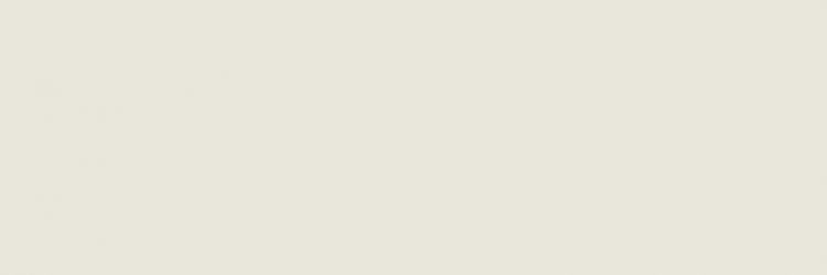 M19N Eclettica Cream Rett 40x120