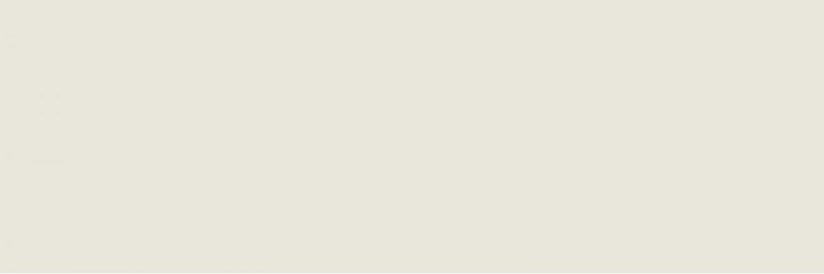 M19N Eclettica Cream Rett 40x120
