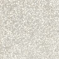 M1KX D_Segni Scaglie White 20x20