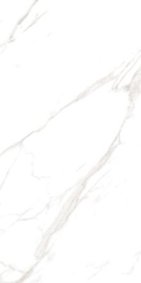 M4401P Керамогранит Carrara Livia Glossy 60x120