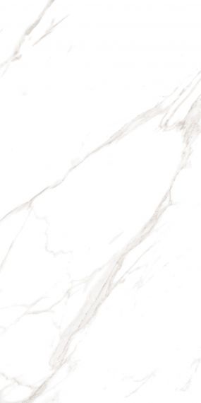 M4401P Керамогранит Carrara Livia Glossy 60x120