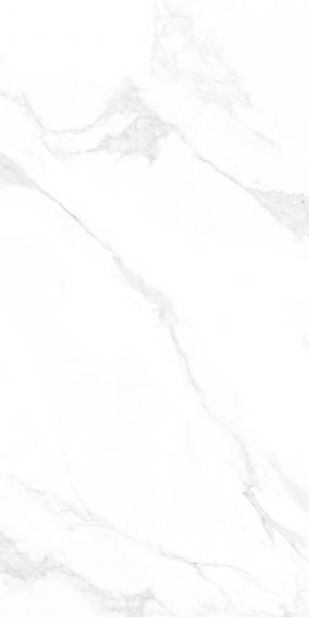 M4402P Керамогранит Carrara Anita Glossy 60x120