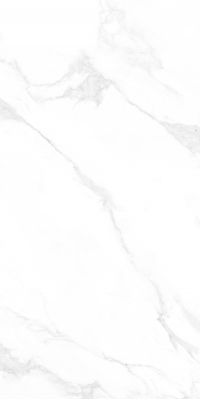 M4403M Керамогранит Carrara Anita Mat 60x120