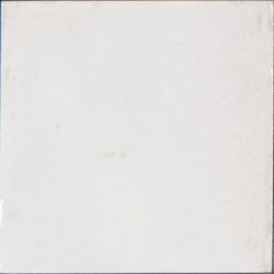 M961 Rice Bianco Lux 15x15