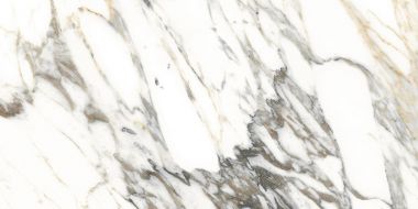 MACCHIA VECCHIA NT/60X120/R 60x120