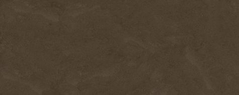 MARBLE BROWN SF.FS.DSBR.NT 300x120