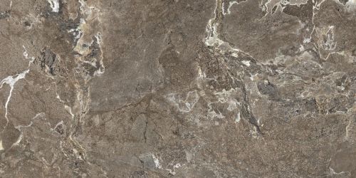 MARBLE BROWN SF.OM.GP.ST 240x120