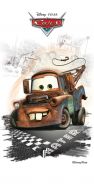 MATER 30*60