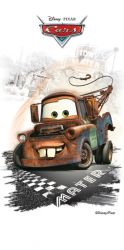 MATER 30*60