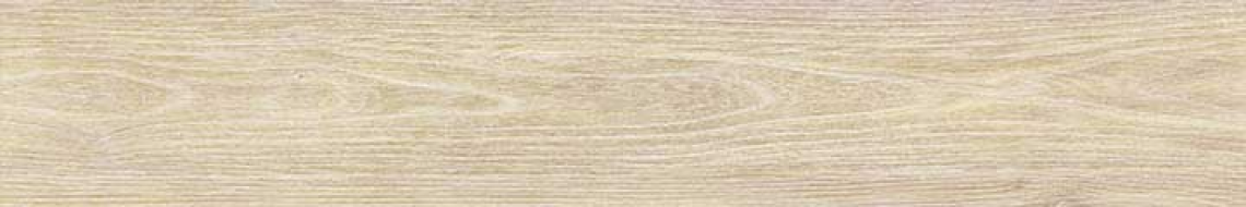 MDE LONG 41 20*120