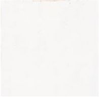 MESTIZAJE ZELLIGE WHITE MATT 12,5x12,5