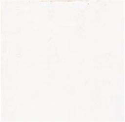 MESTIZAJE ZELLIGE WHITE MATT 12,5x12,5