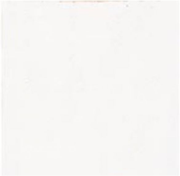 MESTIZAJE ZELLIGE WHITE MATT 12,5x12,5