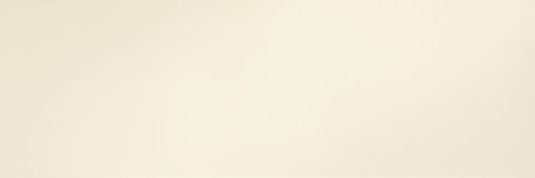 METAL DL.FL.BR.ST 300x100