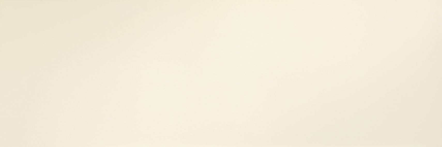 METAL DL.FL.BR.ST 300x100