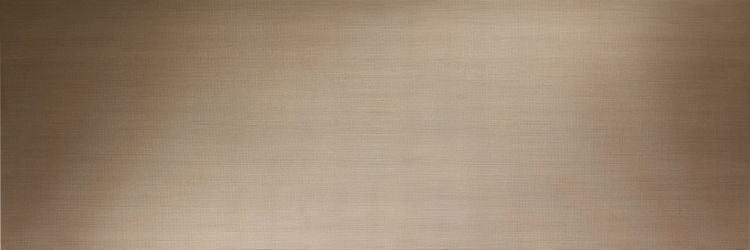 METAL DL.FL.OR.ST RU 300x100