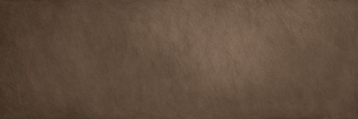 METAL DL.ST.GL.NT 300x100