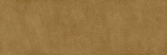 METAL DL.ST.OR.NT RU 300x100