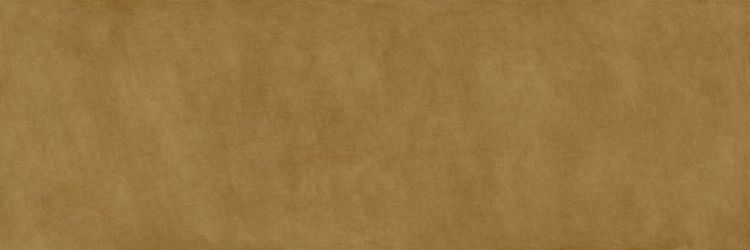 METAL DL.ST.OR.NT RU 300x100