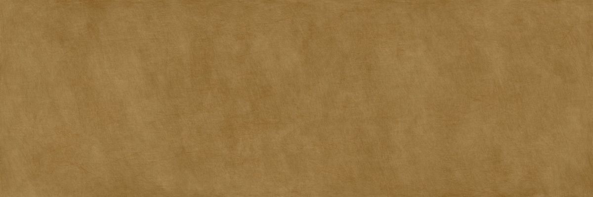 METAL DL.ST.OR.NT RU 300x100