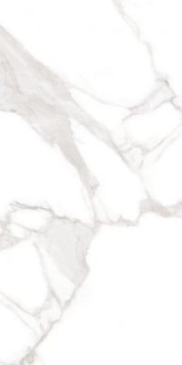 MFV30F35110G Veneto White Full Lappato 59,5x119