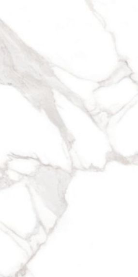 MFV30F35110G Veneto White Full Lappato 59,5x119