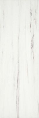 MLAR Marbleline Zebrino 22x66.2