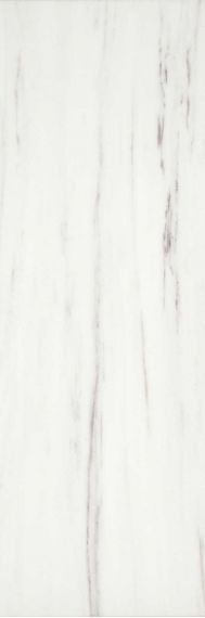 MLAR Marbleline Zebrino 22x66.2