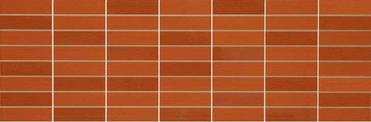 MLEY Colourline Orange Mosaico 22x66.2