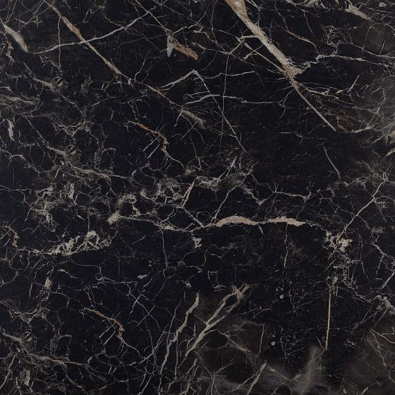 MMGE Allmarble Saint Laurent Lux 60x60