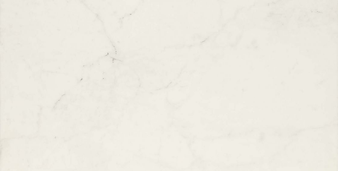 MMGR Allmarble Altissimo Lux 60x120