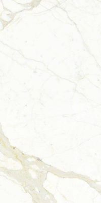 MMS461530 CALACATTA SEMILUCIDATO 300x150