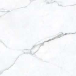MN022AP271206 Statuario Oro Polished 6mm 120x120