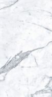 MN031AP261206 Staturio Venatino Polished 6mm 120x260