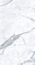 MN031AP261206 Staturio Venatino Polished 6mm 120x260