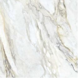 MN039AY261206 Calacatta Royal Matt 6mm 120x120