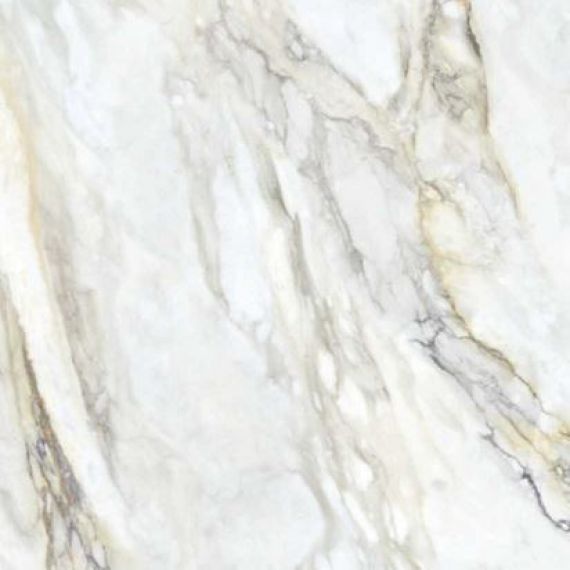 MN039AY261206 Calacatta Royal Matt 6mm 120x120