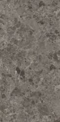 MN282CP261206 Cicili Grey Polished 6mm 120x260