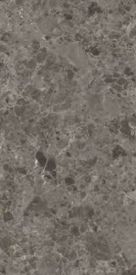 MN282CP261206 Cicili Grey Polished 6mm 120x260