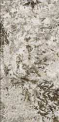 MN627BP261206 Frozen Fox Polished 6mm 120x260