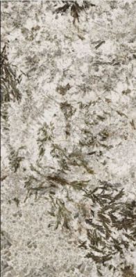 MN627BP261206 Frozen Fox Polished 6mm 120x260
