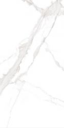 MPL-058625 Керамогранит Statuario Cara Polished 60x120