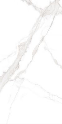 MPL-058625 Керамогранит Statuario Cara Polished 60x120