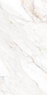MPL-058630 Керамогранит Calacatta Gold Satin 60x120