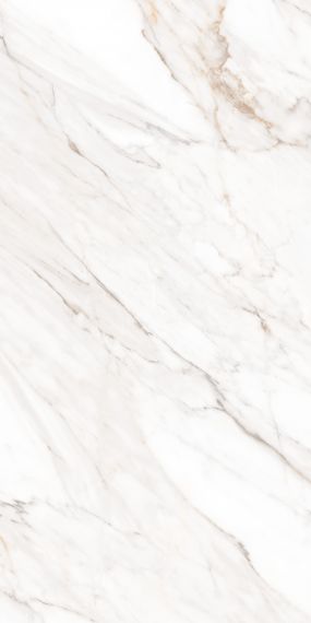 MPL-058630 Керамогранит Calacatta Gold Satin 60x120