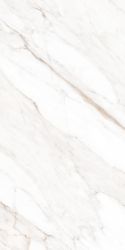 MPL-058631 Керамогранит Calacatta Gold Polished 60x120