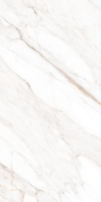 MPL-058631 Керамогранит Calacatta Gold Polished 60x120