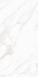 MPL-058639 Керамогранит Dolomiti Polished 80x160