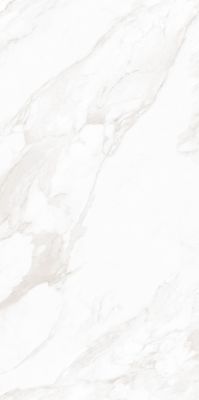 MPL-058639 Керамогранит Dolomiti Polished 80x160