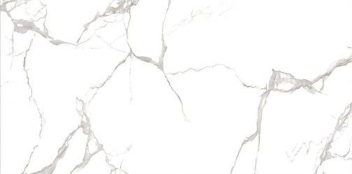 MSZ 040 60x120